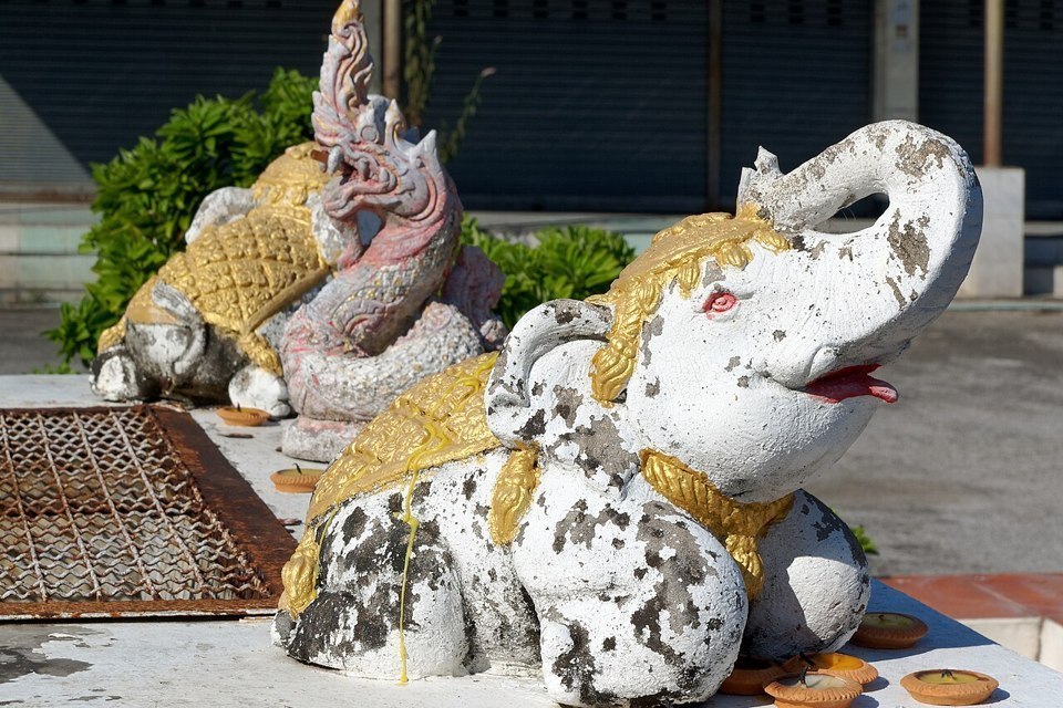 Decorative elephant statues at Wat Chiang Man in Chiang Mai